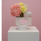 Bloom & Sip